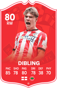 Dibling Southampton FC Football Card