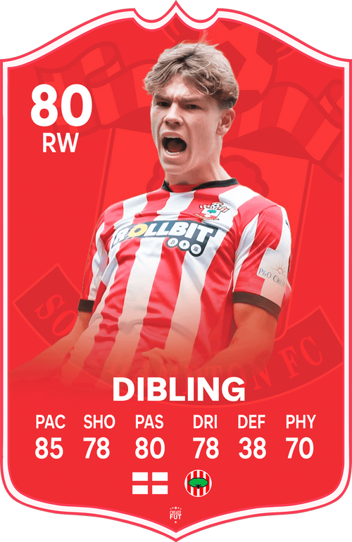 Dibling Southampton FC Football Card