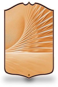 Create FUT
FC26 Rare Bronze personalised FIFA card template featuring a warm bronze and copper metallic design with radiating light rays. Create your own custom Rare Bronze football card with your photo, name and stats in the classic FC26 Bronze edition. Printed on premium PVC with a high-resolution finish. UK and worldwide shipping. Starting from £17.99.